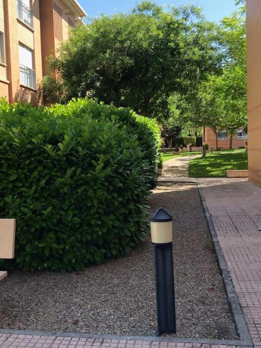 Vut El Parque -Con Piscina En Verano - Aparcamiento En Calle Y Parking Gratis En El Centro Ciudad Real Dış mekan fotoğraf